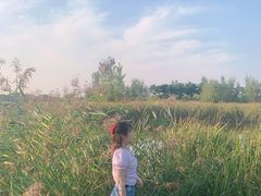 -蒲河岛湿地公园