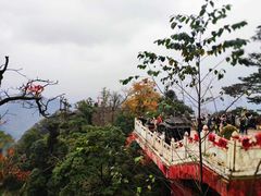 -青城山