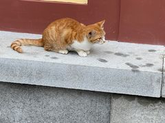 -西安大兴善寺