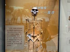 -天津自然博物馆