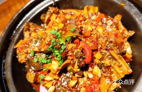 Killer Softshell Turtle