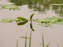 -盘龙城国家考古遗址公园