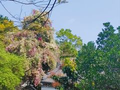 -深圳国际园林花卉博览园