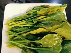 菠菜-满禾林火锅(丹东路店)