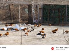 -沈阳鸟岛