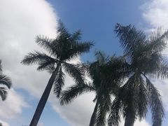 -普洱思茅机场