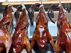 -滇铺子·云南特色菜·第九届野生菌美食节(东风东路c86店)