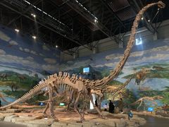 -自贡恐龙博物馆