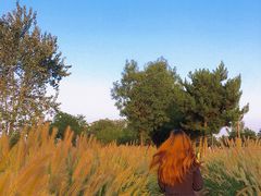 -汉长安城未央宫国家考古遗址公园