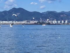 -海埂大坝
