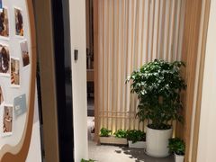 -大鱼·养生·禅洗头疗·按摩SPA