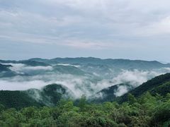 -莫干山风景区