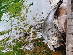 -华夏文旅海洋公园