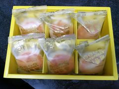 -南普陀素饼