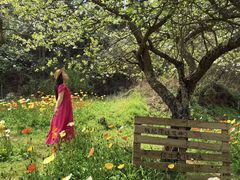 -名花谷生态庄园