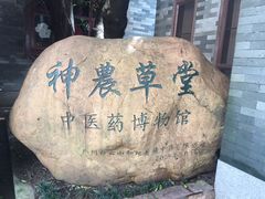 -广州神农草堂中医药博物馆