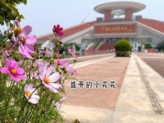 -中国闽台缘博物馆