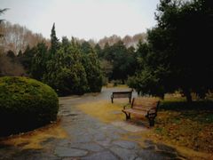 -西安交通大学(雁塔校区)
