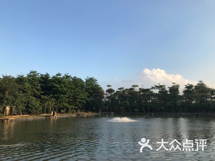 观龙岛生态农庄图片 - 第1张