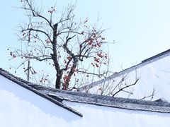 -拙政园