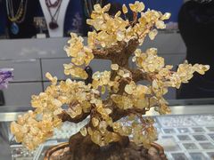 -花鸟鱼虫鲜花绿植市场(玉泉路店)