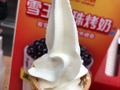 -蜜雪冰城(万象新城商业街店)