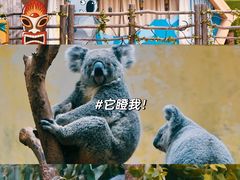 -广州长隆野生动物世界