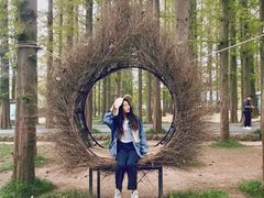 -日照灯塔风景区