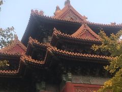 -东华门大街小区