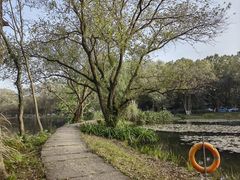 -旅马餐厅(茅家埠店)