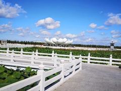 -呼兰河口湿地公园