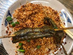鳝鱼-晓靖轩烧烤(沙河风情店)