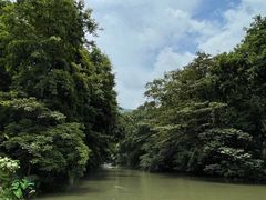 -广州市石门国家森林公园