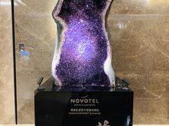 门面-玄武苏宁诺富特酒店·紫金轩中餐厅