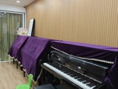 -珠江钢琴艺术中心(文一路店)