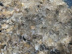 -将相和·海鲜蒸饺大连菜