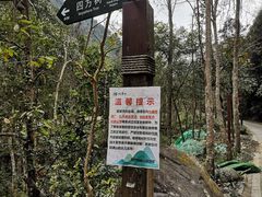 -姑婆山旅游区