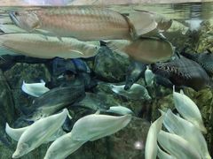 -成都浩海立方海洋公园