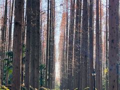 -上海怡沁园度假酒店