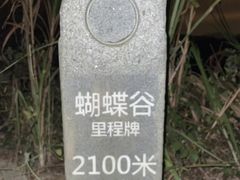 -梧桐山风景名胜区