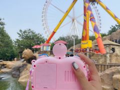 -辛玛王国游乐园