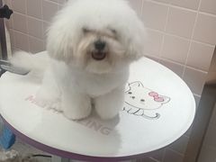 -FAELING PETS美天灵宠物(富力广场店)