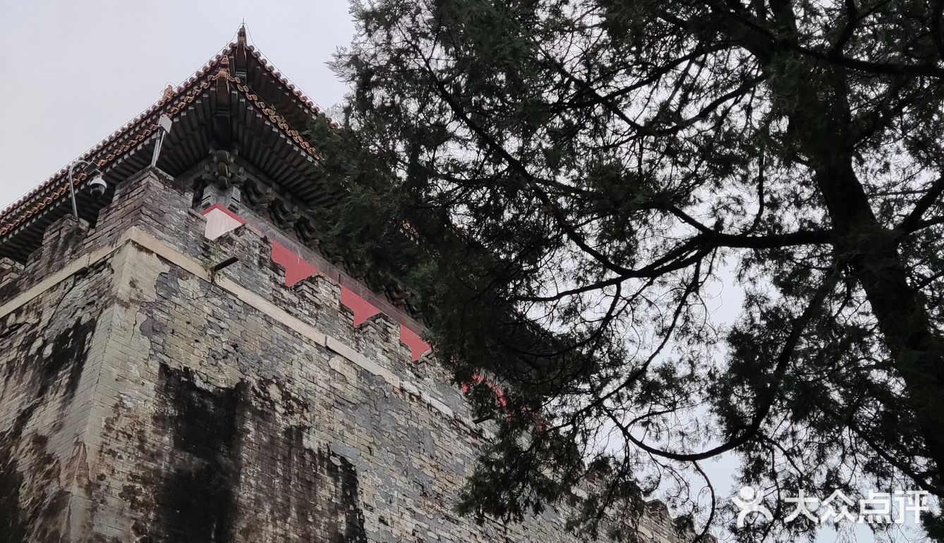 问了一下管理员，是野猫，四五个月大小了