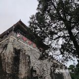 问了一下管理员，是野猫，四五个月大小了
