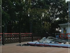 -金鸡湖桃花岛