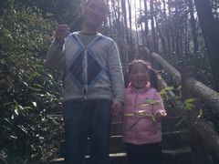 -藏龙百瀑风景区