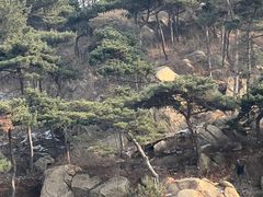 -徂徕山森林康养度假谷温泉