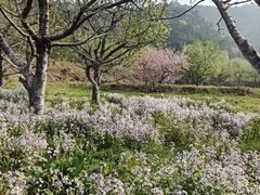 -京东龙泉谷旅游景区