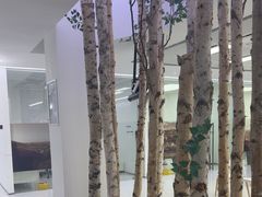 -极简口腔(总院)