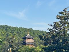 -冶父山国家森林公园